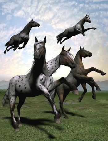 Kompatibilnost: Muški konj i konj-žena. Je li to savez?