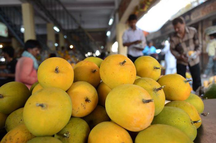 Mango. O prednostima i šteti od tropskog voća