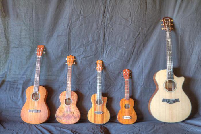 Što morate znati da biste postavili ukulele