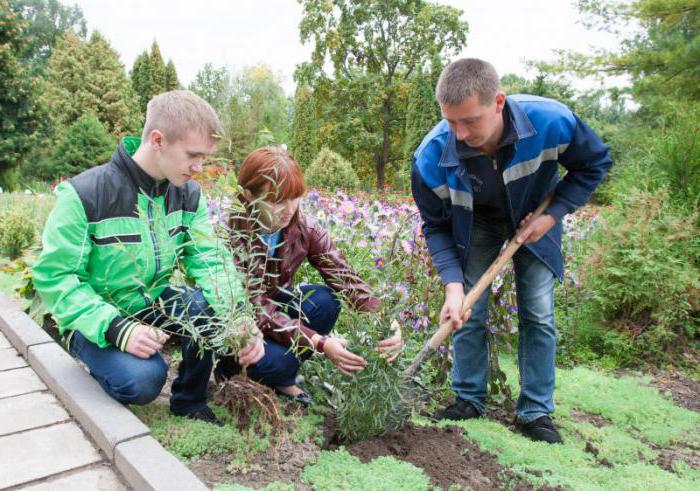 Bjeloruska poljoprivredna akademija: povijest, fakulteti i specijaliteti, prolaznu ocjenu