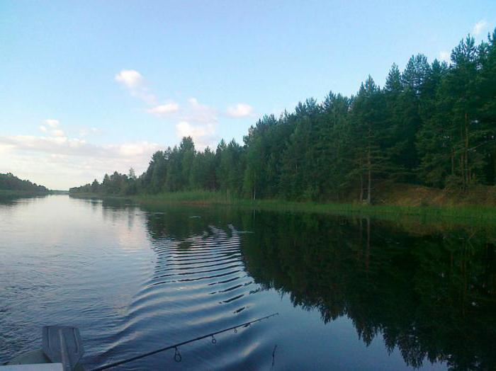 SNT 19 km Old Ladoga Canal recenzije 