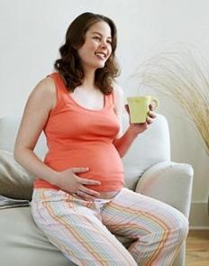 Brusnica: korisna svojstva i kontraindikacije. Značajke korištenja u trudnoći